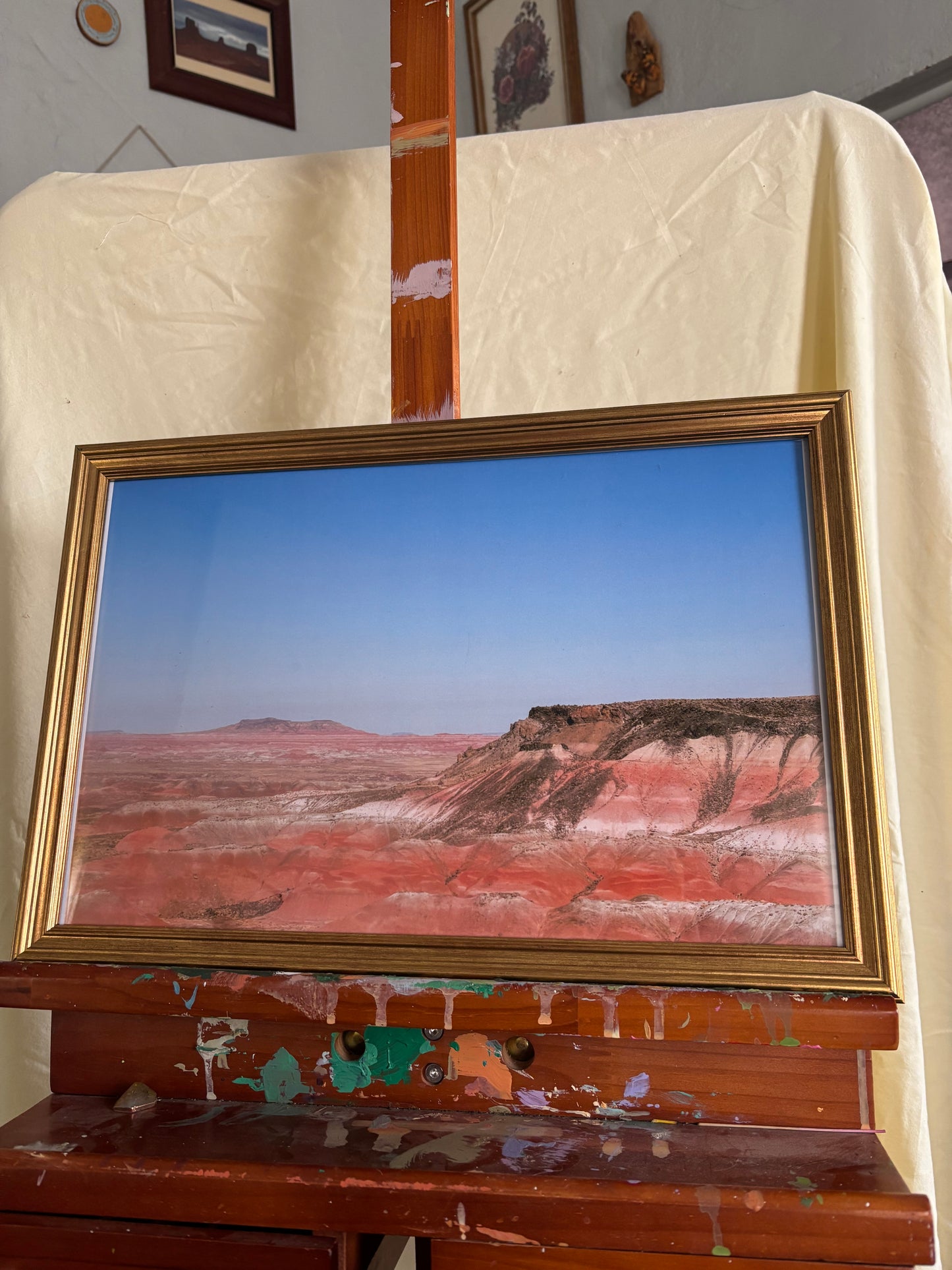 "Pink Horizons in Arizona" framed photography print