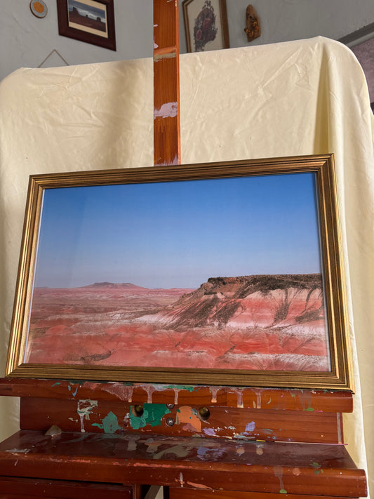 "Pink Horizons in Arizona" framed photography print