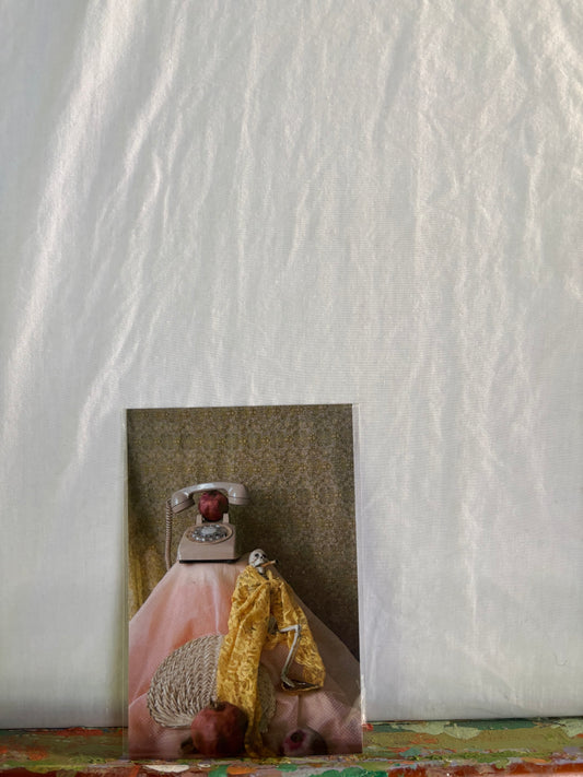 "Benny and his Pomegranates" Still Life Print