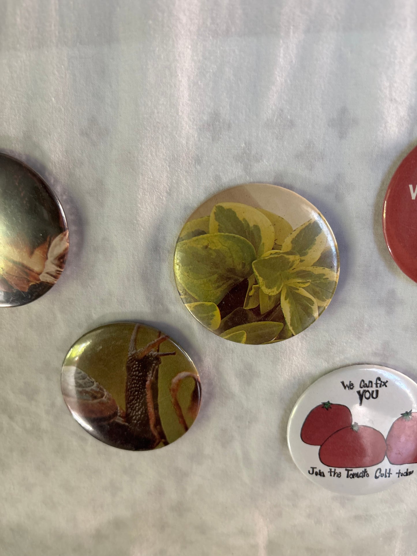 pinback buttons 3 inch